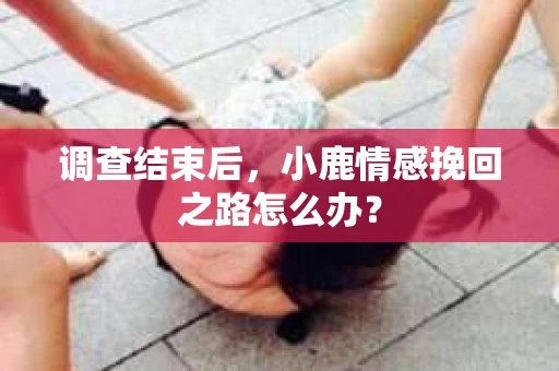 调查结束后，小鹿情感挽回之路怎么办？