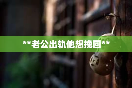 **老公出轨他想挽回**