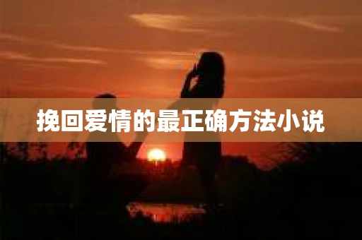 挽回爱情的最正确方法小说