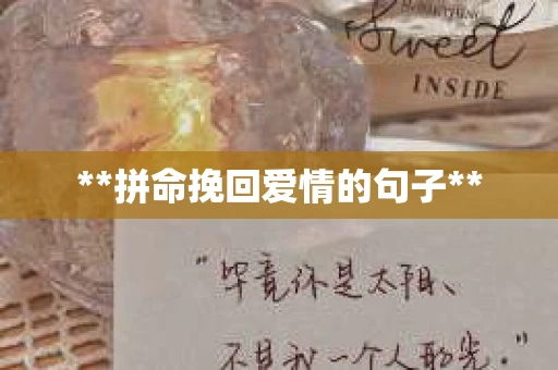 **拼命挽回爱情的句子**