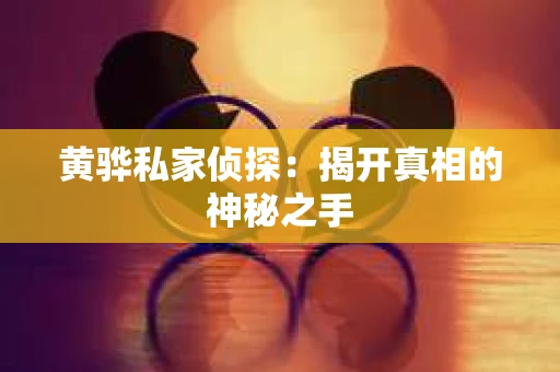 黄骅私家侦探：揭开真相的神秘之手