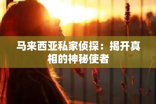 马来西亚私家侦探：揭开真相的神秘使者