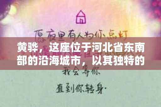 黄骅，这座位于河北省东南部的沿海城市，以其独特的地理位置和丰富的历史文化而闻名。然而，在这座城市中，还有一群人，他们以另一种方式默默守护着社会的公平与正义——私家侦探。今天，我们就来聊聊黄骅的私家侦探，看看他们是如何在这个城市中发挥作用的。