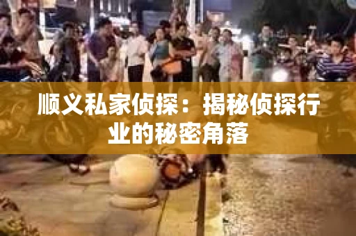 顺义私家侦探：揭秘侦探行业的秘密角落