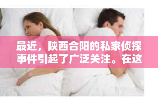 最近，陕西合阳的私家侦探事件引起了广泛关注。在这个信息爆炸的时代，隐私保护显得尤为重要。今天，我们就来聊聊这个事件，看看它背后的一些故事。