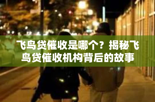 飞鸟贷催收是哪个？揭秘飞鸟贷催收机构背后的故事