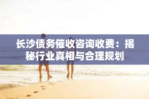 长沙债务催收咨询收费：揭秘行业真相与合理规划