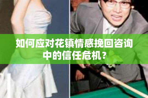 如何应对花镇情感挽回咨询中的信任危机？