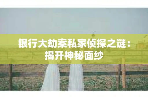 银行大劫案私家侦探之谜：揭开神秘面纱