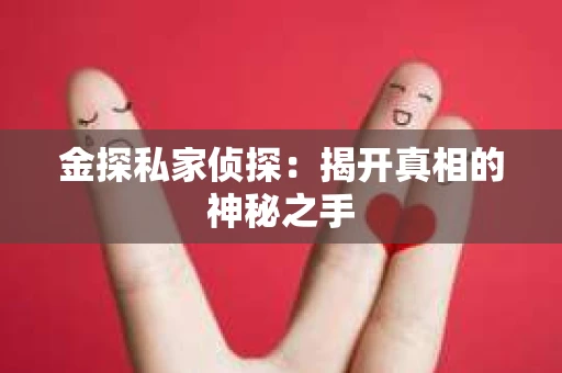 金探私家侦探：揭开真相的神秘之手