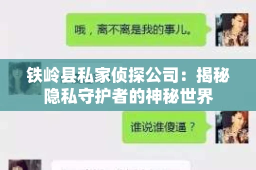 铁岭县私家侦探公司：揭秘隐私守护者的神秘世界
