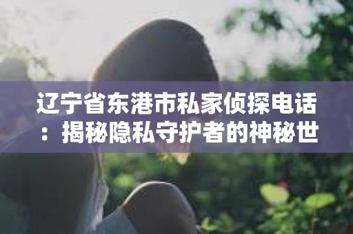 辽宁省东港市私家侦探电话：揭秘隐私守护者的神秘世界