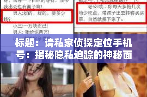 标题：请私家侦探定位手机号：揭秘隐私追踪的神秘面纱