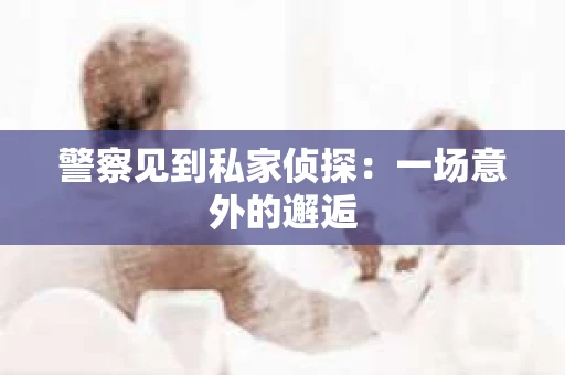警察见到私家侦探:一场意外的邂逅 警察见到私家侦探:一场意外的邂逅