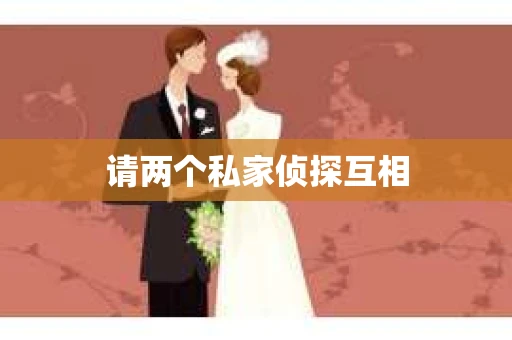 请两个私家侦探互相