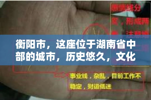 衡阳市，这座位于湖南省中部的城市，历史悠久，文化底蕴深厚。随着社会的发展，人们对于个人隐私的保护意识逐渐增强，私家侦探机构也应运而生。那么，衡阳市是否有私家侦探机构呢？今天，我们就来聊聊这个话题。