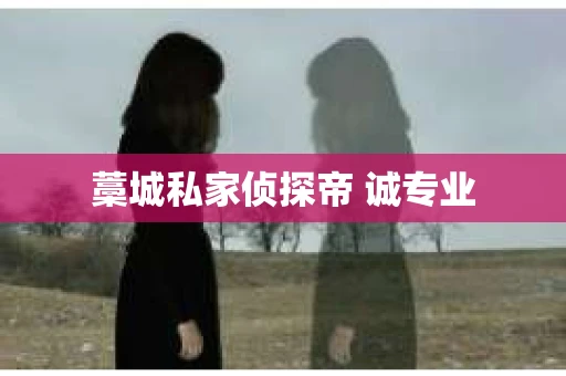 藁城私家侦探帝 诚专业