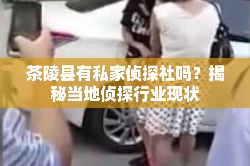 茶陵县有私家侦探社吗？揭秘当地侦探行业现状