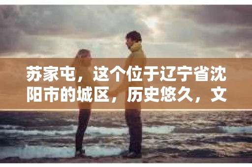 苏家屯，这个位于辽宁省沈阳市的城区，历史悠久，文化底蕴深厚。近年来，随着社会的发展，人们对于私家侦探的需求也逐渐增加。那么，苏家屯有私家侦探吗？今天，我们就来聊聊这个话题。