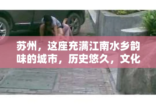 苏州，这座充满江南水乡韵味的城市，历史悠久，文化底蕴深厚。在这样一个充满故事的地方，私家侦探公司自然也不少。那么，苏州哪有私家侦探公司呢？今天，我就来给大家盘点一下。