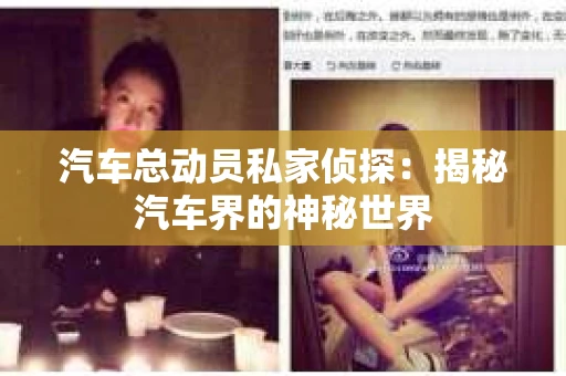 汽车总动员私家侦探：揭秘汽车界的神秘世界