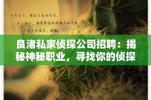 良渚私家侦探公司招聘：揭秘神秘职业，寻找你的侦探梦