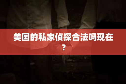 美国的私家侦探合法吗现在？