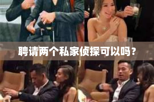 聘请两个私家侦探可以吗？