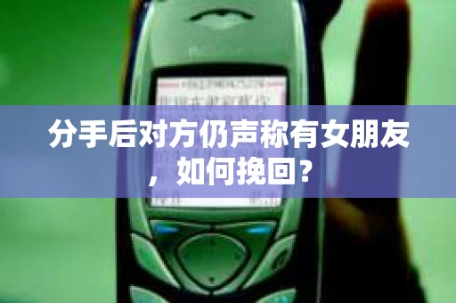 分手后对方仍声称有女朋友,如何挽回? 分手后对方仍声称有女朋友,如何挽回?