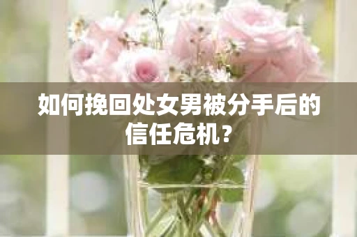 如何挽回处女男被分手后的信任危机？