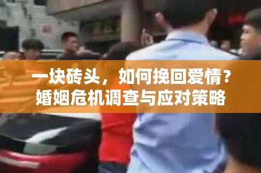 一块砖头，如何挽回爱情？婚姻危机调查与应对策略