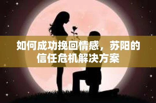 如何成功挽回情感，苏阳的信任危机解决方案