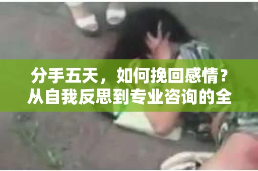 分手五天，如何挽回感情？从自我反思到专业咨询的全面解决方案