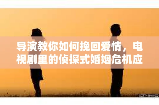 导演教你如何挽回爱情，电视剧里的侦探式婚姻危机应对法