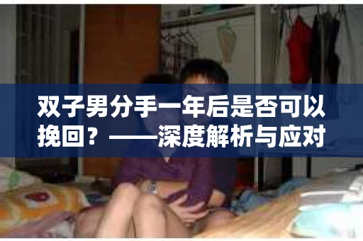 双子男分手一年后是否可以挽回？——深度解析与应对策略